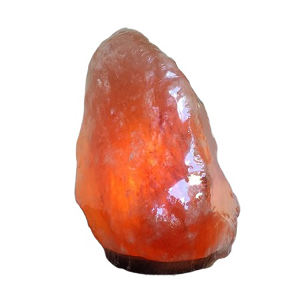 BioLeon Λάμπα από Αλάτι Ιμαλαΐων Φυσικό σχήμα από 5-7 κιλά