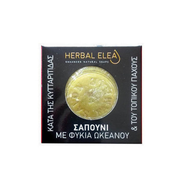 BioLeon Herbal Elea Σαπούνι με Φύκια 150gr
